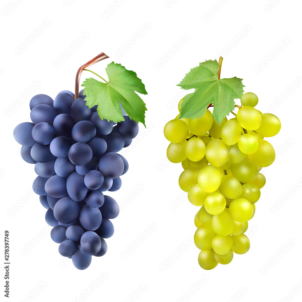 Red and white table grapes, wine grapes. Fresh fruit, 3d icon set. Cluster of grapes red and white 3d set for design. Red and white table grapes, wine grapes. Fresh fruit, 3d icon set. Cluster of grapes red and white 3d set for design.