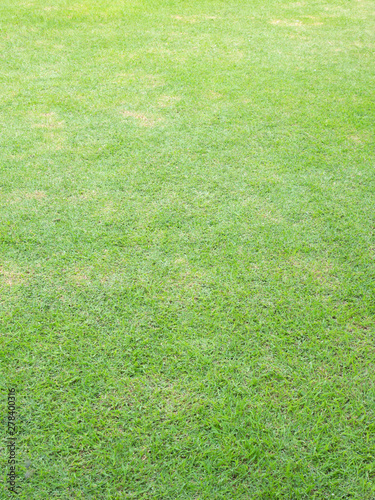 green lawn bright outdoor