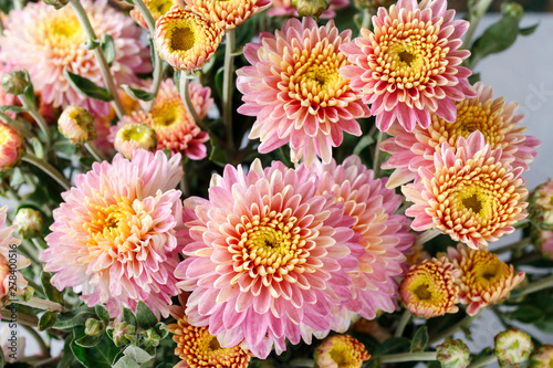 Leinwand Poster Bouquet of pink chrysanthemums.