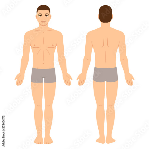 Male body front and back