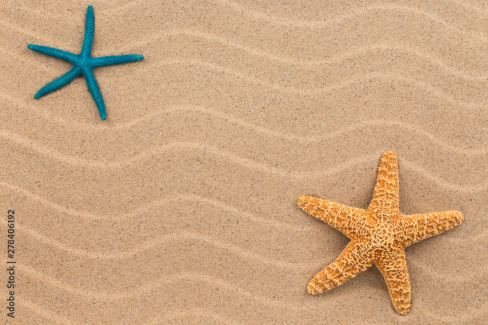 Two starfish lie on the wavy dunes of sand. View from above. With space for design Two starfish lie on the wavy dunes of sand. View from above. With space for design