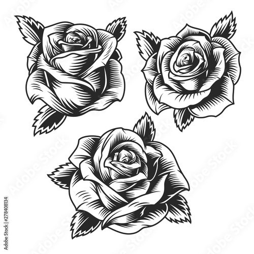 Vintage beautiful rose flowers set