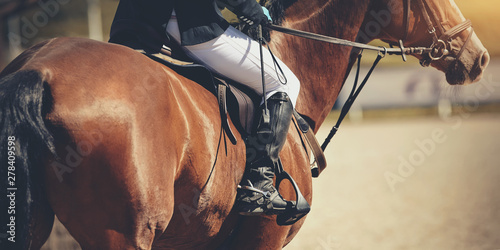 Equestrian sport. The leg of the rider in the stirrup, riding on a red horse.