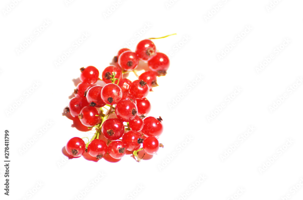 Red currents berries isolated on white,photo Red currents berries isolated on white,photo