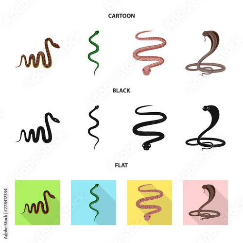 Vector design of mammal and danger symbol. Collection of mammal and medicine stock symbol for web.