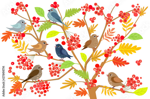 funny small birds on branches of rowan tree for your design