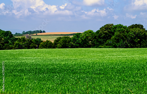 Country Walks