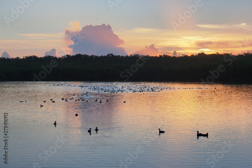 Sunrise over West Lake in Everglades national Park, Florida. © Francisco