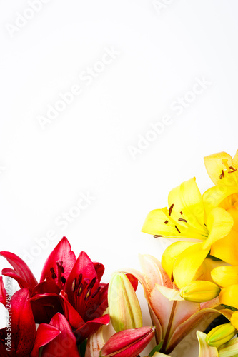 Foto Colorful Flowers frame isolated on white background