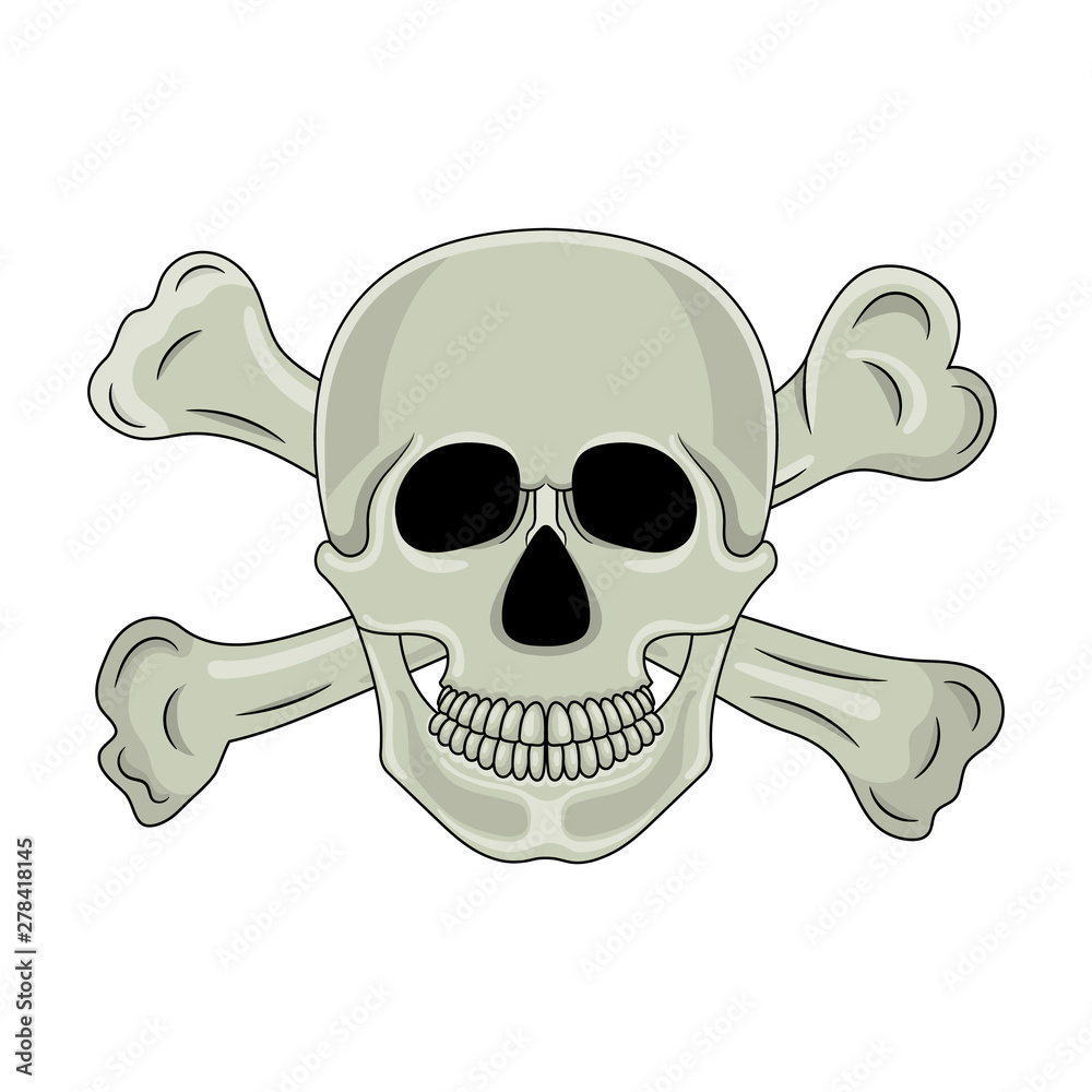 Fototapeta premium Skull and crossed bones isolated on white background. Cartoon human skull with jaw. Vector illustration for any design.