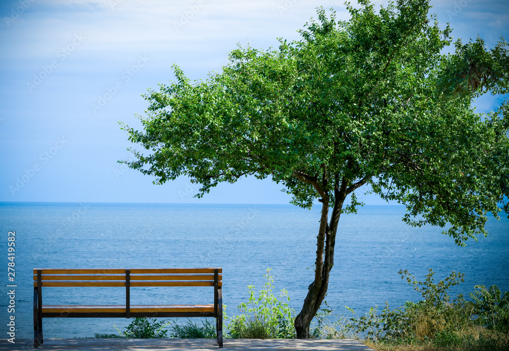 bench and tree against the sea