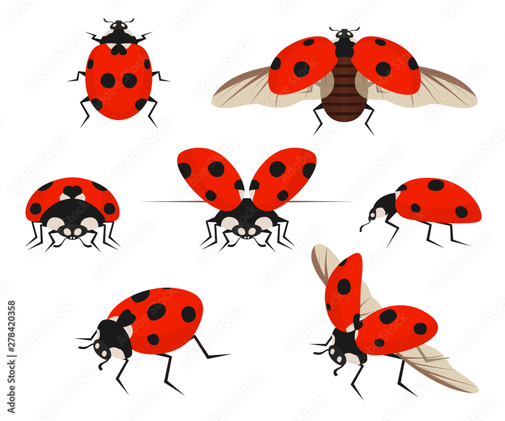 Cartoon Color Lady Bug Icon Set. Vector