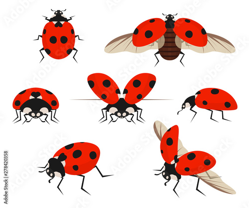Cartoon Color Lady Bug Icon Set. Vector © bigmouse108