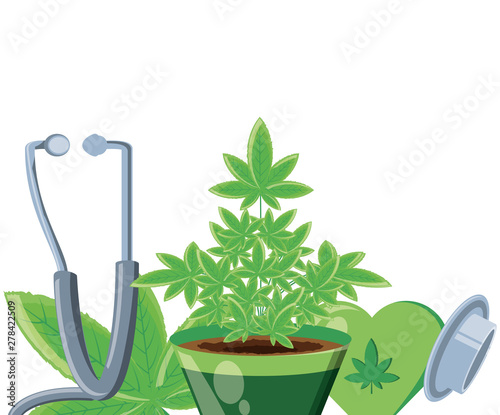 cannabis leaf plant with stethoscope
