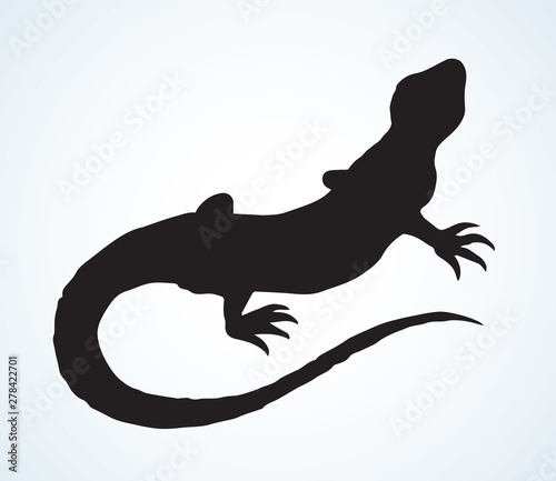 Little lizard. Vector drawing icon