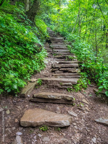 Trail in the woods