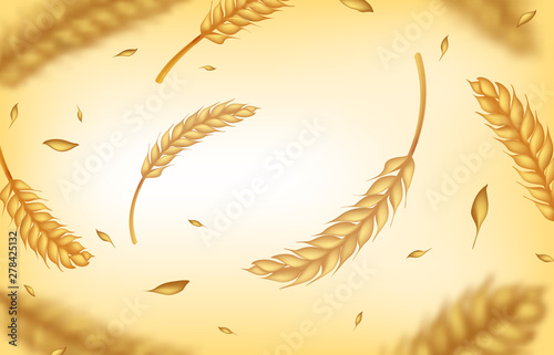 Realistic wheat background. Agricultural harvest ears and grains, organic healthy food concept. Vector 3D natural blurred yellow oat barley rye cereal