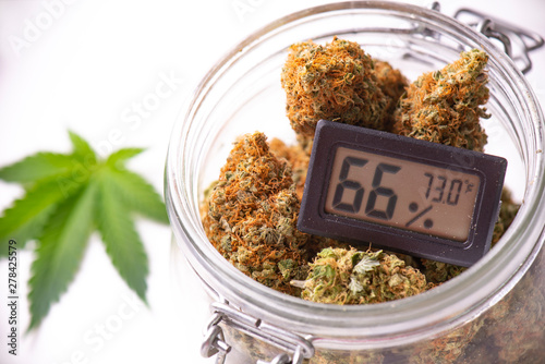 Bilde på lerret Cannabis buds on clear glass jar with humidity gauge isolated on white