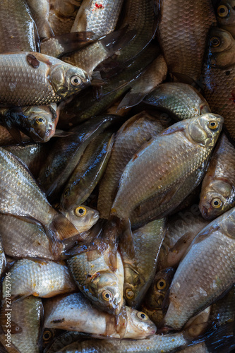 Texture of scales of the fresh river fish caught early in the morning. Ready photo background. Macro.