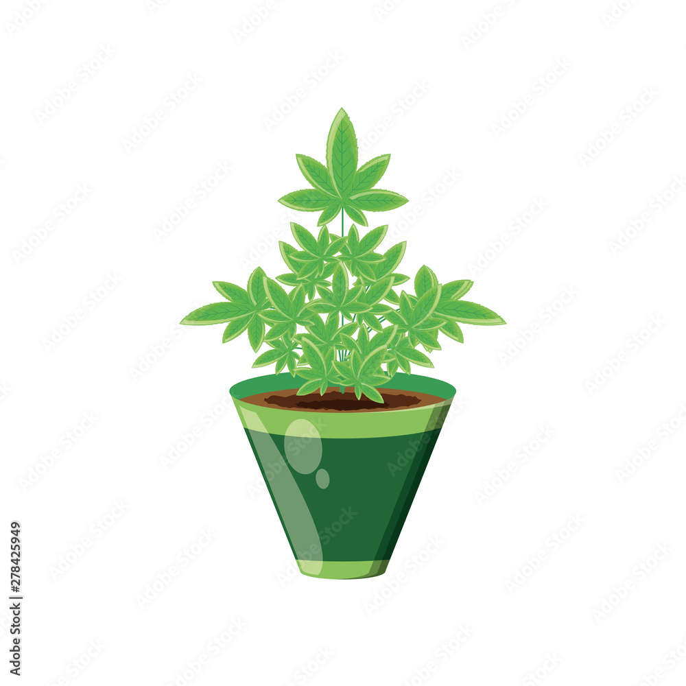 cannabis plant in pot nature icon