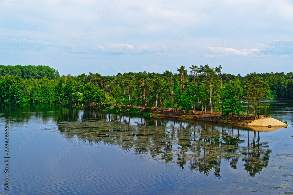 Nature scene on a lake and green forest Nature scene on a lake and green forest