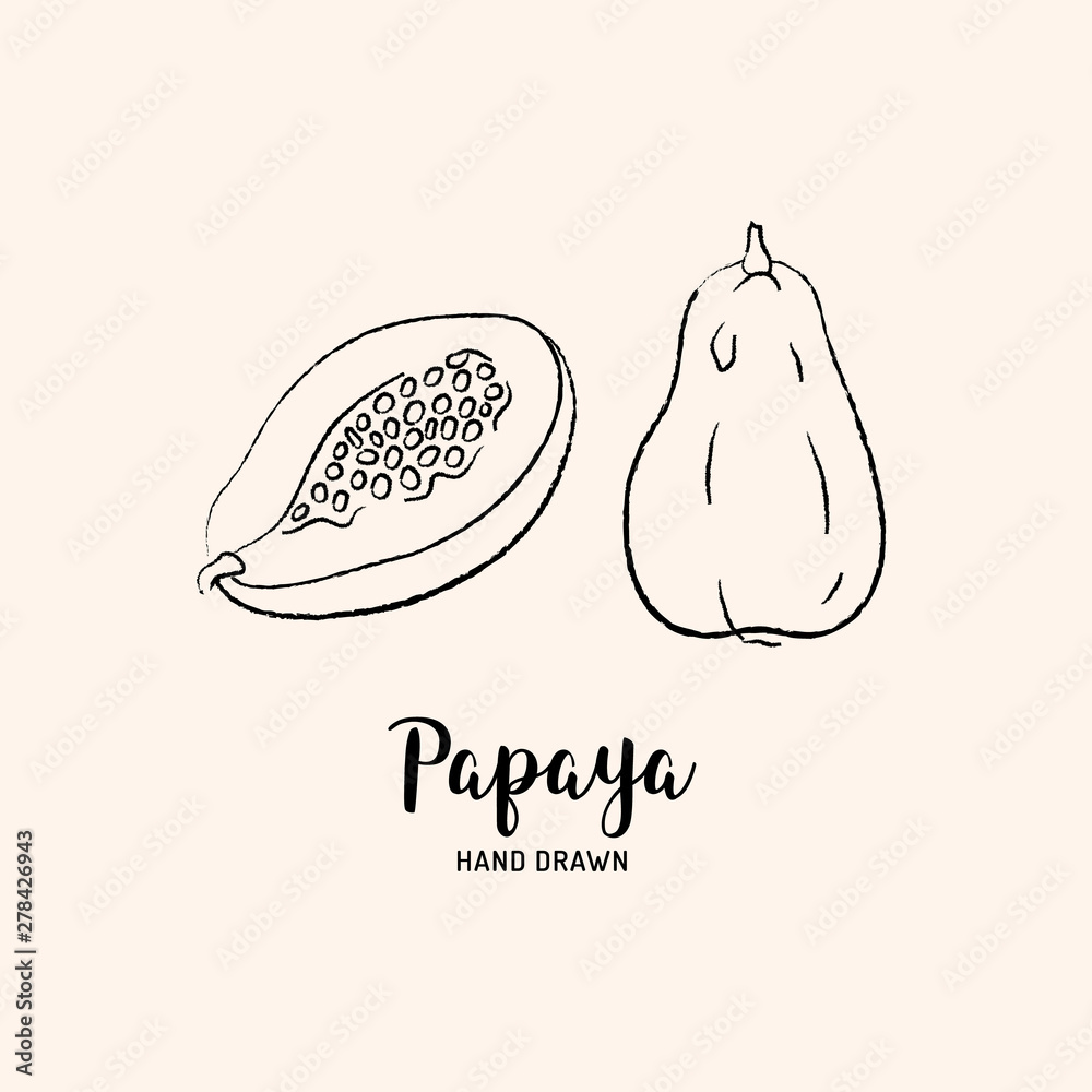 Papaya fruit drawing, Papaya pawpaw slice and whole juicy fruit ...