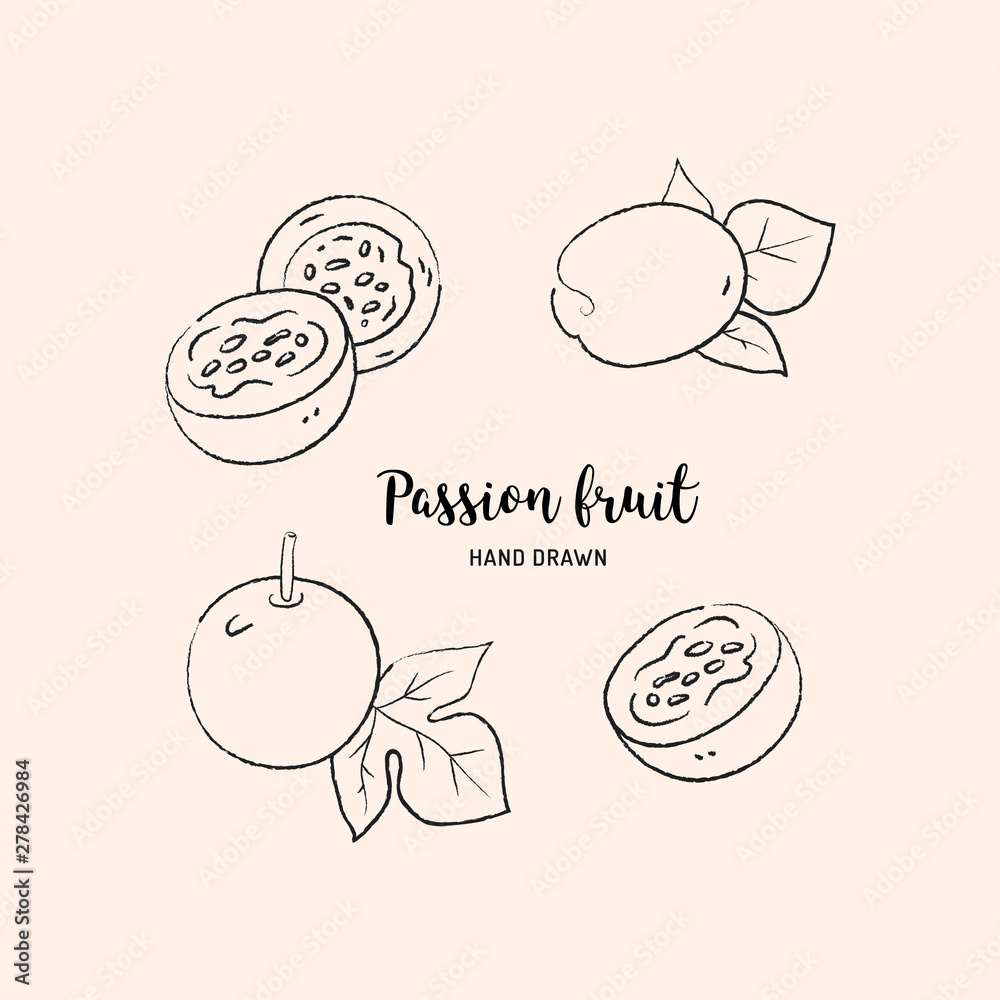 Passion fruit drawing, passion slice and whole juicy fruit. Sketch of passion fruit on white background. Vector isolated illustration