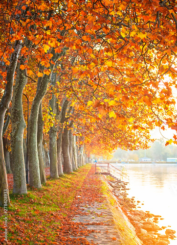 Nice autumnal scene at lake Balaton