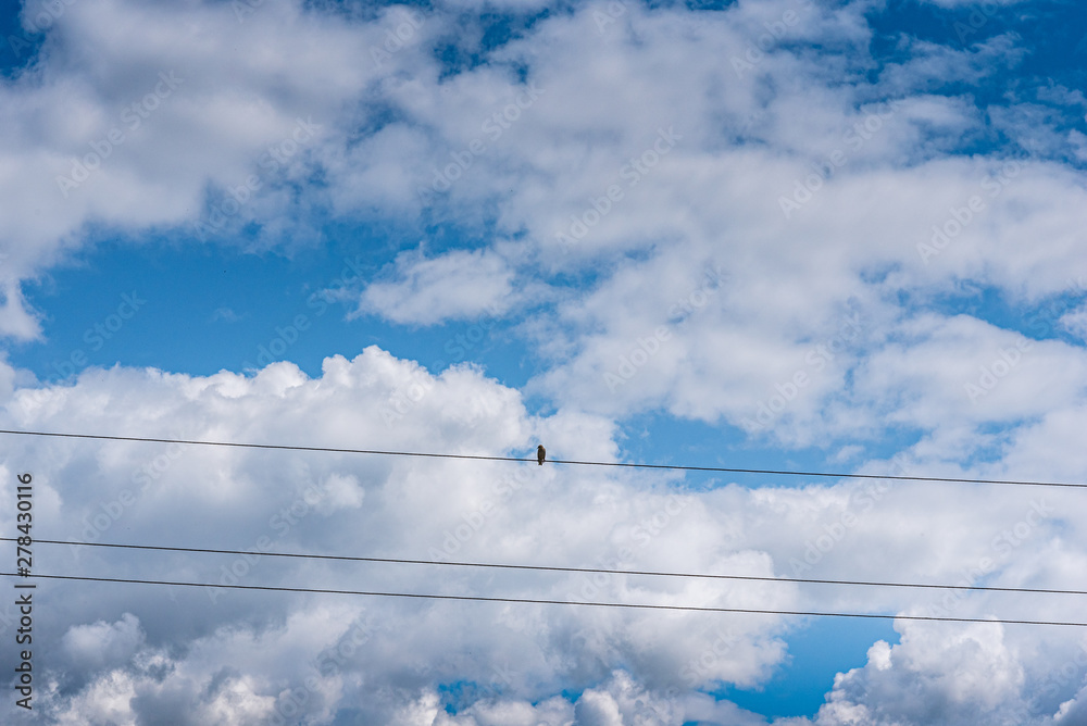 Sparrows sit on the electric wire against a blue sky. Sparrows sit on the electric wire against a blue sky.