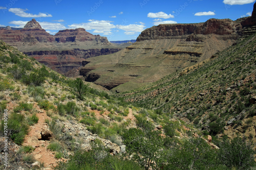 View of the inner canyon from the Grandview Trail in Grand Canyon National Park, Arizona.