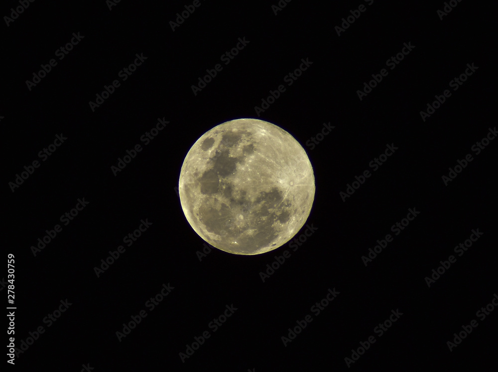Fototapeta premium Full Moon