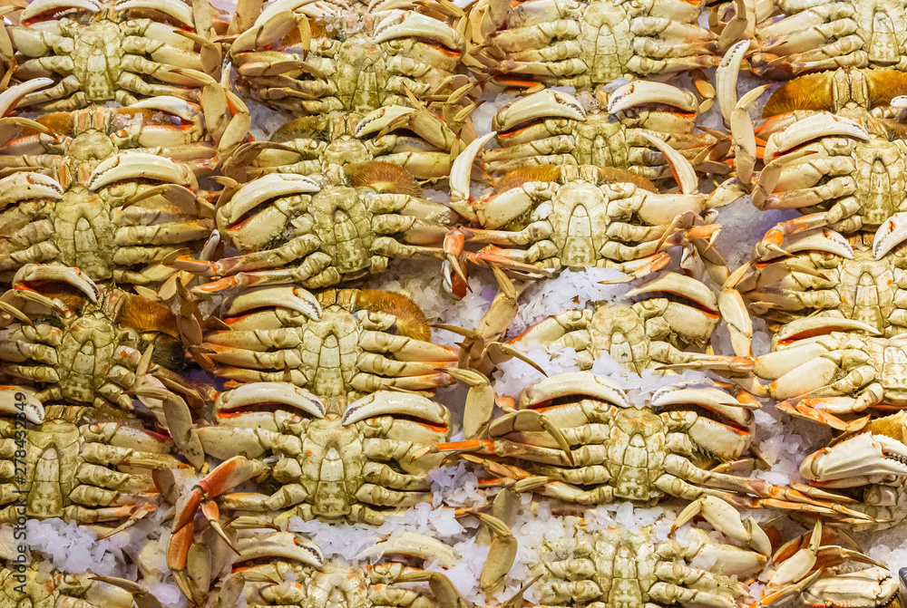 Many Crabs on Ice in a Local Seafood Market