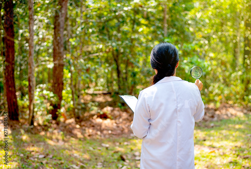 The back of scientist woman hold magnifying glass and document look to the forest with the concept of research and experiment for environment.