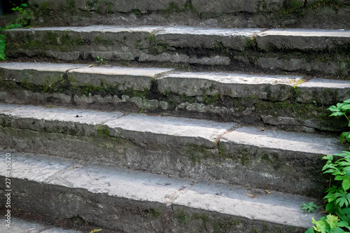 Old steps covered in moss.