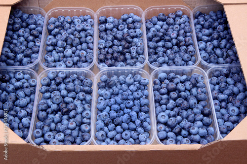 fresh blueberries in a box