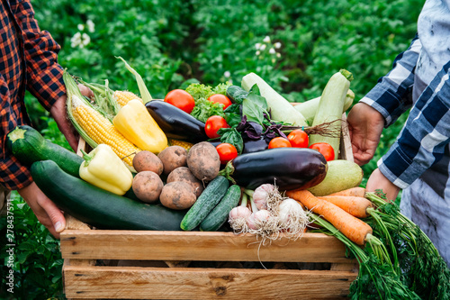 Man's hands and women holding wooden crate full of vegetables from organic garden. Harvesting homegrown produce photo