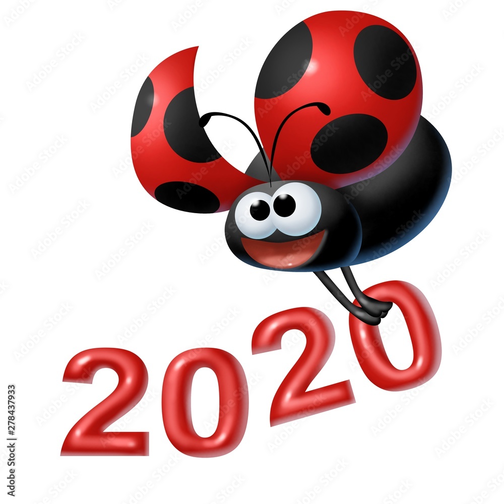 Fototapeta premium coccinella 2020