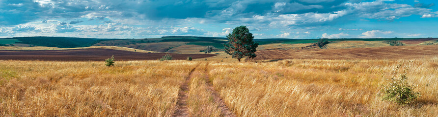 Sierkussen Bordeaux Russisch platteland met glooiende heuvels  © Dmitry Yakovtsev