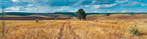 Panoramic landscape of central Russia agricultural countryside with hills and country road. Summer landscape of the Samara valleys. Russian countryside. High resolution file for large format printing.