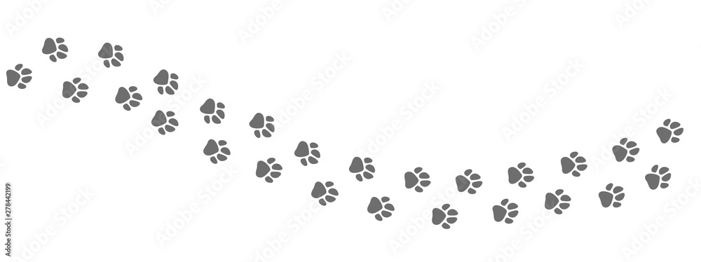 Fototapeta Footpath trail of animal. Dog or cat paws print vector isolated on white background. Trail footpath wildlife, footprint silhouette illustration