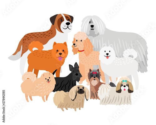 Cartoon character loing hair big and small dogs. Vector pets isolated on white background. Illustration of animal dog cute, pets friends
