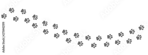 Footpath trail of animal. Dog or cat paws print vector isolated on white background. Trail footpath wildlife, footprint silhouette illustration photo