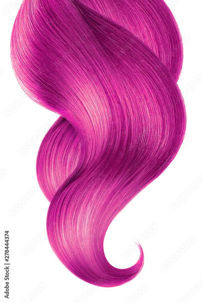 Pink hair isolated on white background. Long ponytail.