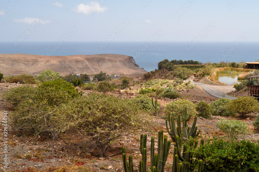 Savannah landscape view from Oasis Park with the mountains and ocean on background. Fuerteventura, Canary Islands, Spain