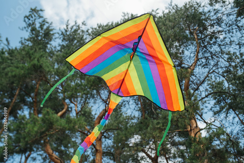 Rainbow kite in fores. Pride