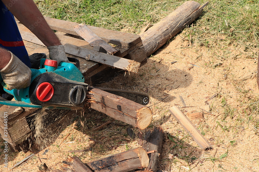 Fototapeta premium Preparation of firewood for the winter in the village, working saw and male hands in close-up. Electric saw and firewood in summer,