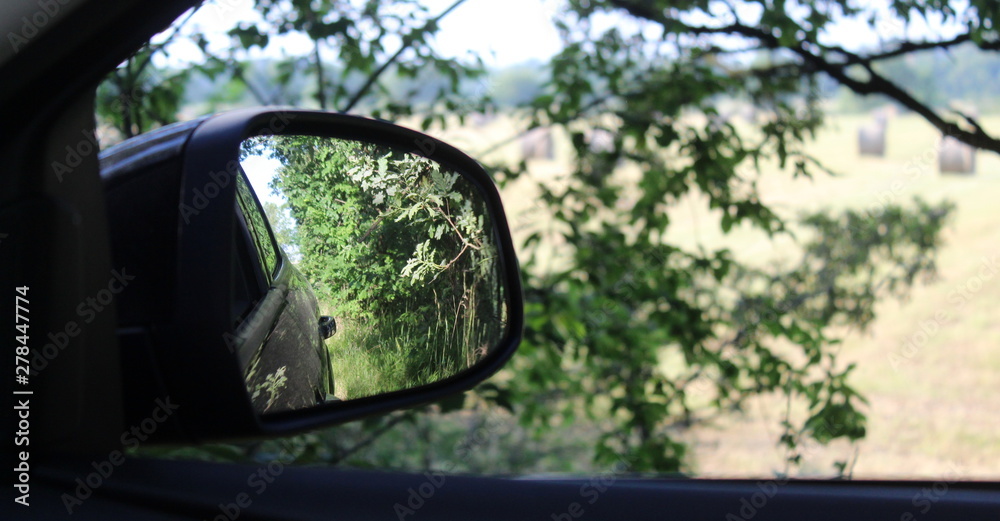 Specchietto retrovisore in campagna in estate