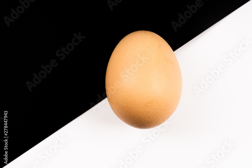 chicken egg on black white background photo