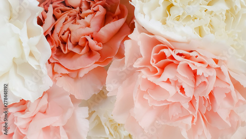 Fototapeta Naklejka Na Ścianę i Meble -  Pretty pink peony petal flowers background wallpaper