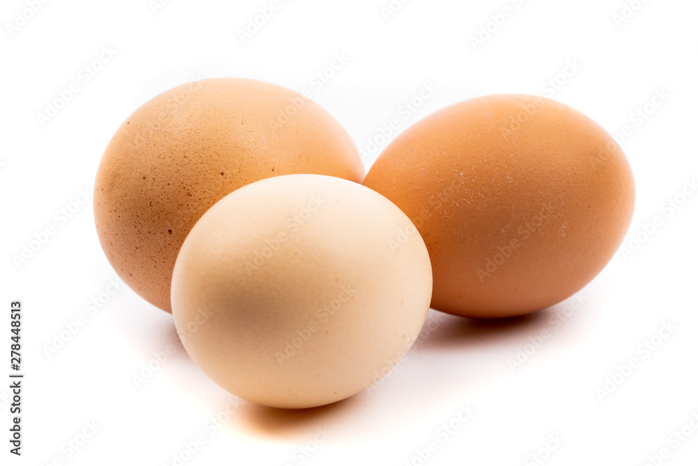 chicken eggs on white background chicken eggs on white background